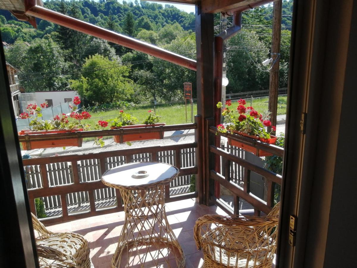Vila Ovi Hotel Bran  Exterior photo